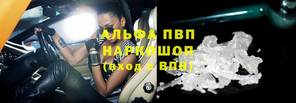 крисы Верея