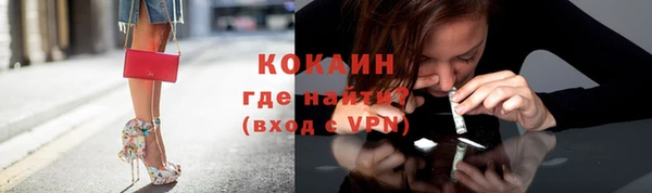 стафф Володарск