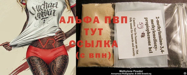 крисы Верея