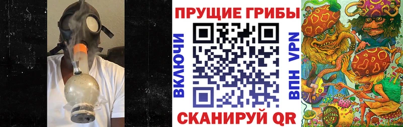 Галлюциногенные грибы Psilocybe  где найти   Канск 